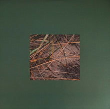 Load image into Gallery viewer, Ulrich Schnauss – Far Away Trains Passing By