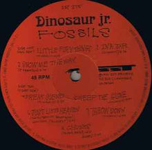 Load image into Gallery viewer, Dinosaur Jr. – Fossils