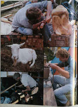 Load image into Gallery viewer, Various – Greenbelt Live! Original Soundtrack Recording