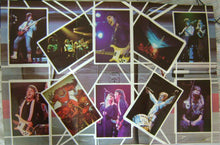 Load image into Gallery viewer, Wings (2) – Wings Over America