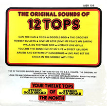 Load image into Gallery viewer, Unknown Artist – 12 Tops Today's Top Hits Volume 12
