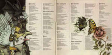 Load image into Gallery viewer, Kate Bush – Never For Ever
