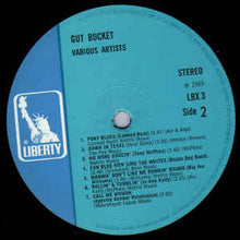 Load image into Gallery viewer, Various – Gutbucket