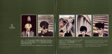 Load image into Gallery viewer, Japan – Oil On Canvas