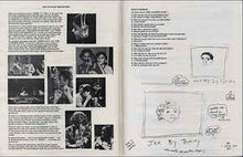 Load image into Gallery viewer, Playgrounds – Playgrounds