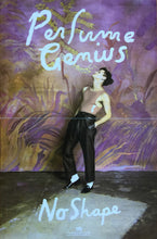 Load image into Gallery viewer, PERFUME GENIUS - NO SHAPE ( 12" RECORD )