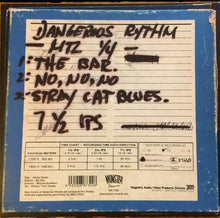 Load image into Gallery viewer, Dangerous Rhythm (2) - Stray Cat Blues (LP ALBUM)