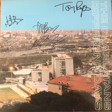 Load image into Gallery viewer, THE CHARLATANS - DIFFERENT DAYS ( 12" RECORD )