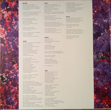 Load image into Gallery viewer, SUFJAN STEVENS, BRYCE DESSNER, NICO MUHLY, JAMES M - PLANETARIUM ( 12" RECORD )