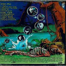 Load image into Gallery viewer, The Fuzztones – Lysergic Emanations