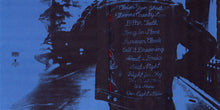 Load image into Gallery viewer, IRON & WINE - BEAST EPIC ( 12" RECORD )