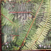 Load image into Gallery viewer, LIARS - TFCF (420 ESTUARY ANGLER EDITION) ( 12" RECORD )