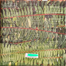 Load image into Gallery viewer, LIARS - TFCF (420 ESTUARY ANGLER EDITION) ( 12" RECORD )