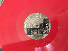 Load image into Gallery viewer, LIARS - TFCF (420 ESTUARY ANGLER EDITION) ( 12" RECORD )