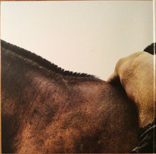 Load image into Gallery viewer, MOSES SUMNEY - AROMANTICISM ( 12" RECORD )