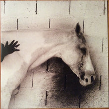 Load image into Gallery viewer, MOSES SUMNEY - AROMANTICISM ( 12" RECORD )