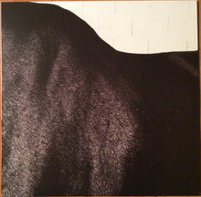 Load image into Gallery viewer, MOSES SUMNEY - AROMANTICISM ( 12" RECORD )