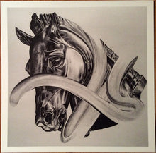 Load image into Gallery viewer, MOSES SUMNEY - AROMANTICISM ( 12" RECORD )