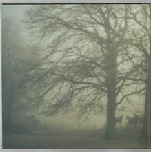 Load image into Gallery viewer, Wolf Alice – Visions Of A Life