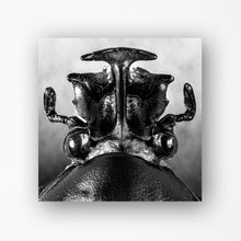 Load image into Gallery viewer, VARIOUS ARTISTS - THAI! DAI? ( 12" RECORD )