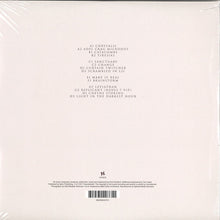 Load image into Gallery viewer, SPECIAL REQUEST - BELIEF SYSTEM ( 12" RECORD )