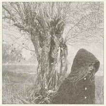 Load image into Gallery viewer, LANKUM - BETWEEN THE EARTH AND SKY ( 12" RECORD )