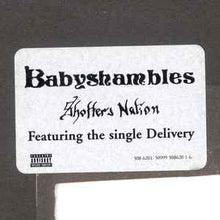 Load image into Gallery viewer, Babyshambles – Shotter's Nation