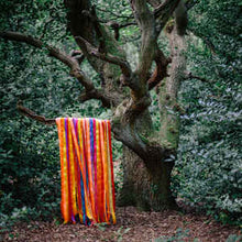 Load image into Gallery viewer, JAMES HOLDEN & THE ANIMAL SPIRITS - THE ANIMAL SPIRITS ( 12" RECORD )