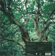 Load image into Gallery viewer, JAMES HOLDEN & THE ANIMAL SPIRITS - THE ANIMAL SPIRITS ( 12" RECORD )