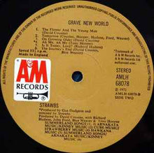 Load image into Gallery viewer, Strawbs – Grave New World
