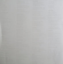 Load image into Gallery viewer, STARCRAWLER - STARCRAWLER ( 12" RECORD )