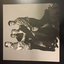 Load image into Gallery viewer, HERCULES & LOVE AFFAIR - THE FEAST OF THE BROKEN HEART ( 12" RECORD )