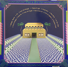 Load image into Gallery viewer, JONATHAN WILSON - RARE BIRDS ( 12" RECORD )