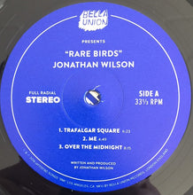 Load image into Gallery viewer, JONATHAN WILSON - RARE BIRDS ( 12" RECORD )