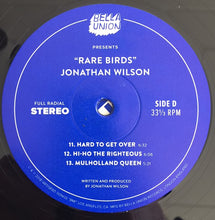 Load image into Gallery viewer, JONATHAN WILSON - RARE BIRDS ( 12" RECORD )