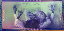 Load image into Gallery viewer, JONATHAN WILSON - RARE BIRDS ( 12" RECORD )