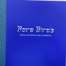Load image into Gallery viewer, JONATHAN WILSON - RARE BIRDS ( 12" RECORD )