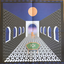 Load image into Gallery viewer, JONATHAN WILSON - RARE BIRDS ( 12" RECORD )