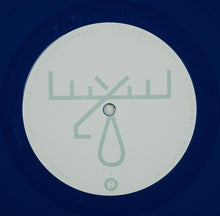 Load image into Gallery viewer, MOOSE BLOOD - I DON'T THINK I CAN DO THIS ANYMORE ( 12" RECORD )