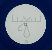 Load image into Gallery viewer, MOOSE BLOOD - I DON'T THINK I CAN DO THIS ANYMORE ( 12" RECORD )