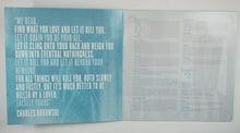 Load image into Gallery viewer, MOOSE BLOOD - I DON'T THINK I CAN DO THIS ANYMORE ( 12" RECORD )