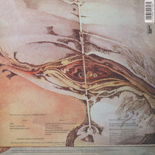 Load image into Gallery viewer, Heldon - Electronique Guerilla (LP ALBUM)
