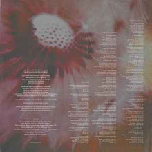 Load image into Gallery viewer, Echo And The Bunnymen* – Flowers