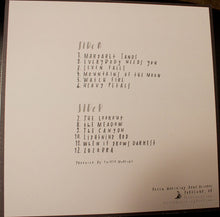 Load image into Gallery viewer, LAURA VEIRS - THE LOOKOUT ( 12" RECORD )