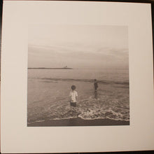 Load image into Gallery viewer, LAURA VEIRS - THE LOOKOUT ( 12" RECORD )