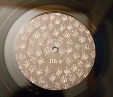 Load image into Gallery viewer, LAURA VEIRS - THE LOOKOUT ( 12" RECORD )