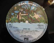 Load image into Gallery viewer, The Flamin' Groovies - Teenage Head (2xLP, Comp, RE)
