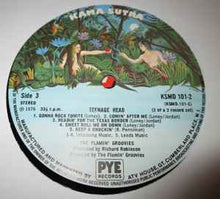 Load image into Gallery viewer, The Flamin' Groovies - Teenage Head (2xLP, Comp, RE)