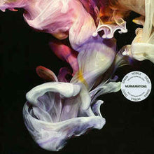 Load image into Gallery viewer, SIMIAN MOBILE DISCO - MURMURATIONS ( 12" RECORD )