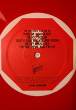Load image into Gallery viewer, SPLIT CRANIUM - I'M THE DEVIL AND I'M OK ( 12" RECORD )